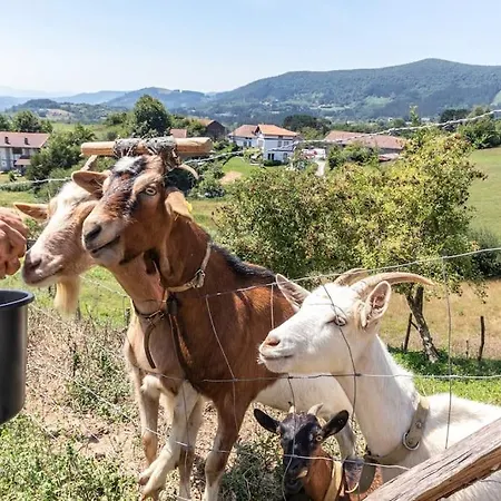 Larraetxea Appartement Isla Bekoa Auzoa