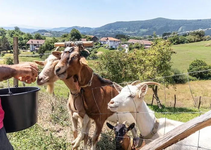 Larraetxea Apartment Isla Bekoa Auzoa